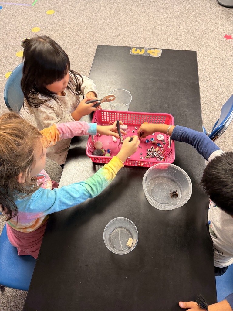 Students use various tools to pick up objects in an organizer