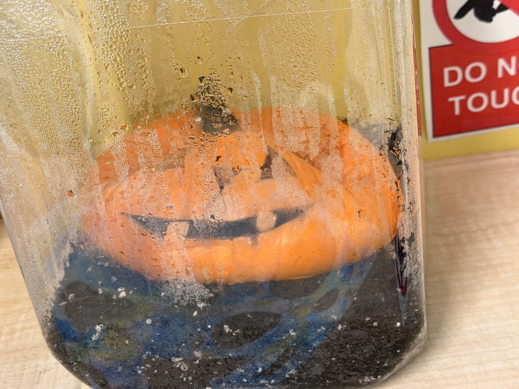 The pumpkin is much flatter with continued condensation
