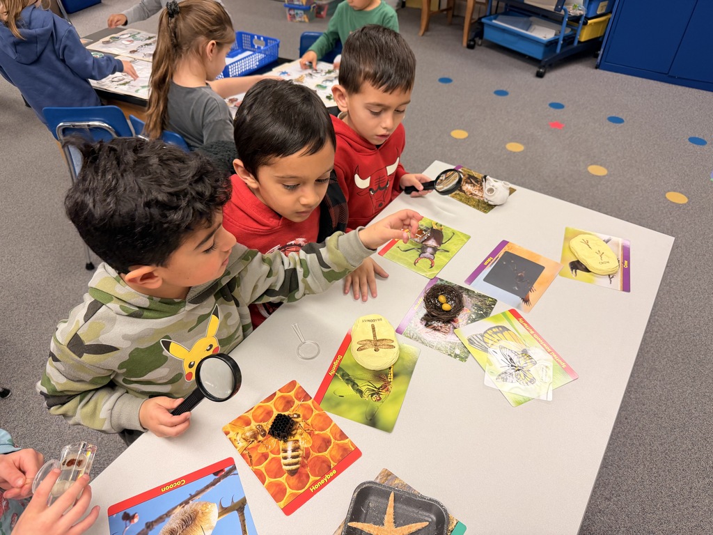 Three students sit at a desk and learn about animals