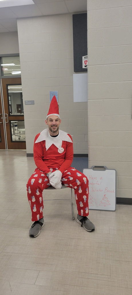 Man dressed as elf on the shelf