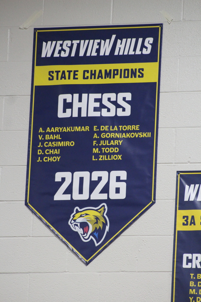 chess banner