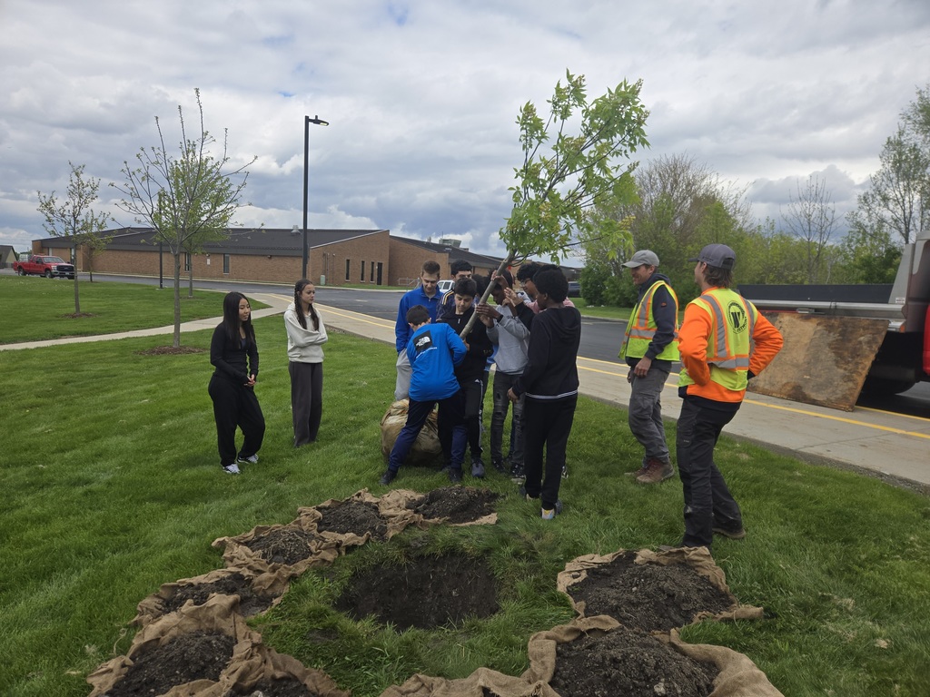 Students plant the tree