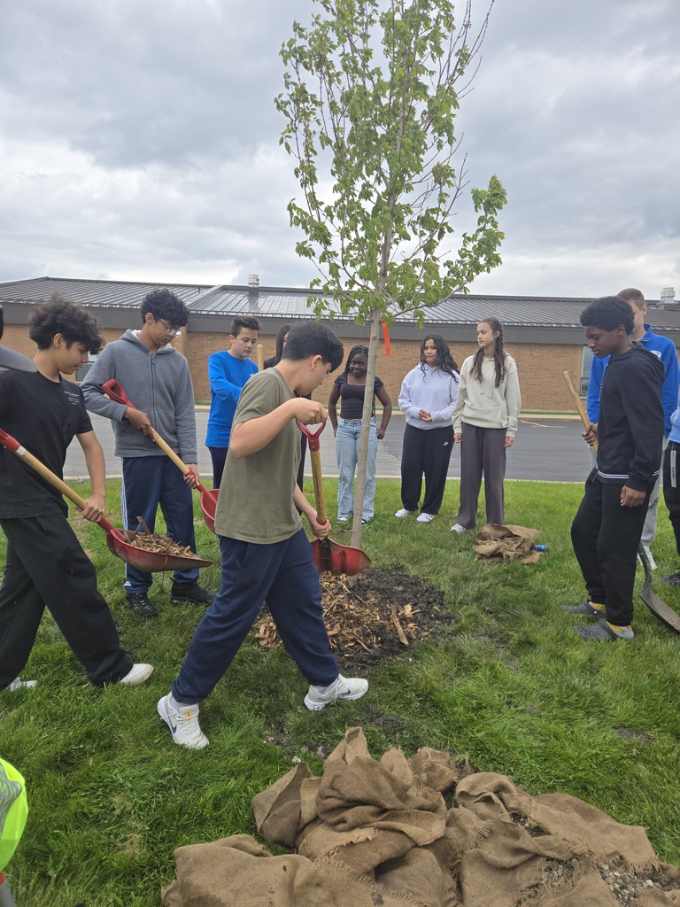 Students plant the tree