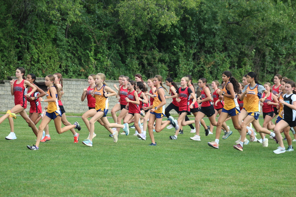 westview hills cross country runners compete with runners from Old Quarry