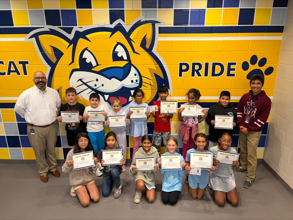Wildcats of the week