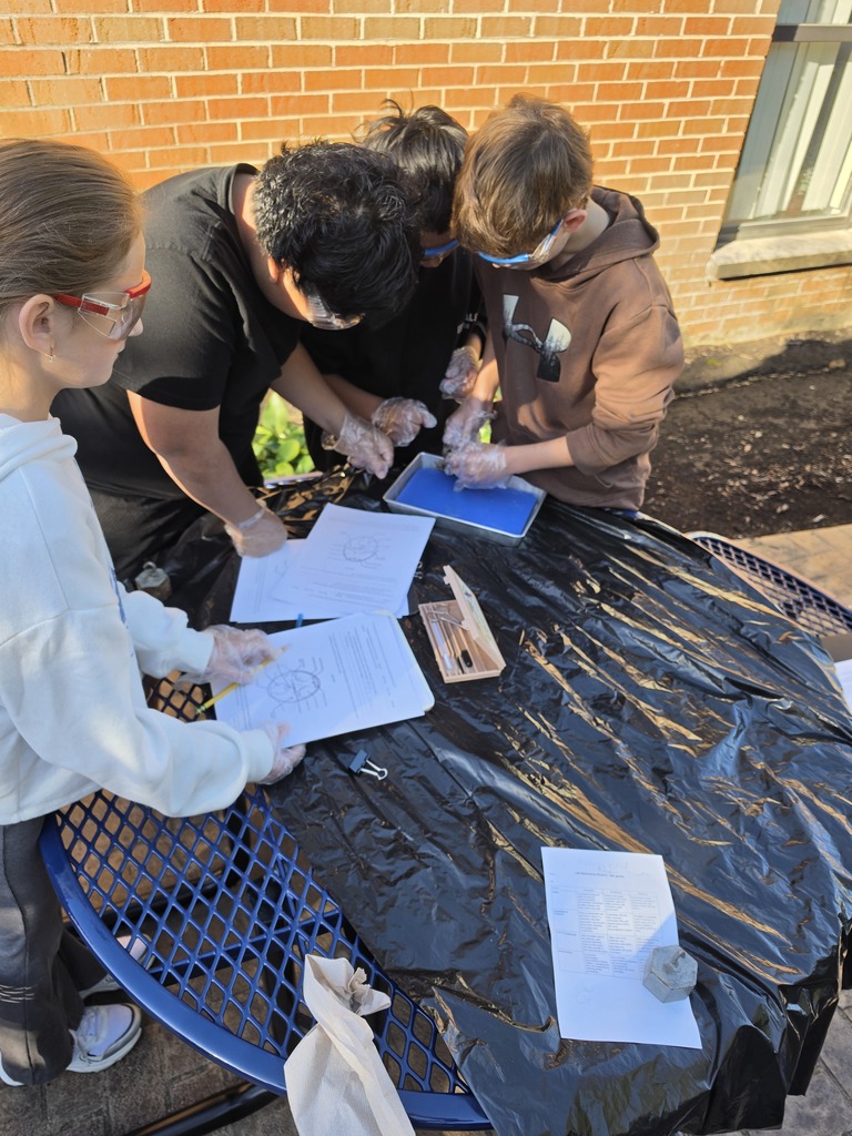 dissection activity