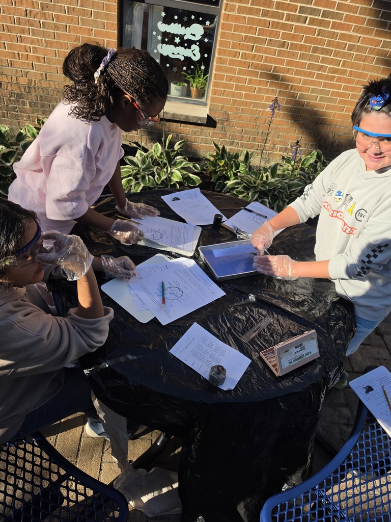 dissection activity