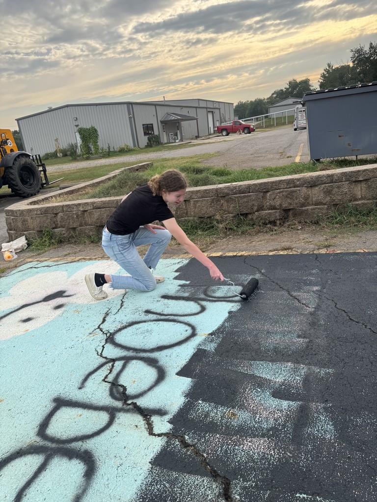 Senior Parking Lot Decorations