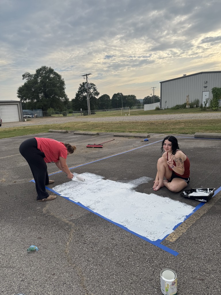 Senior Parking Lot Decorations