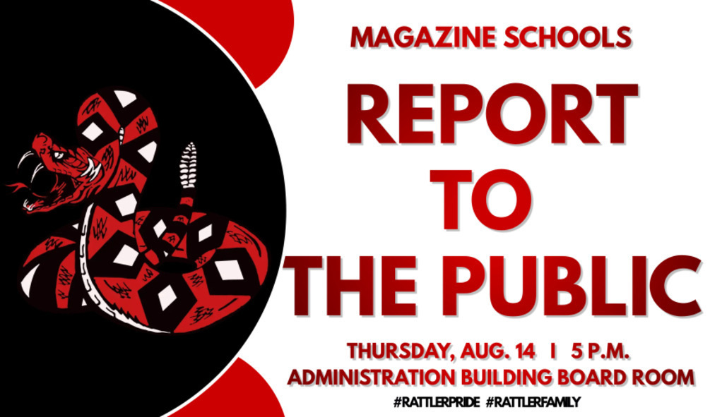 Report To The Public