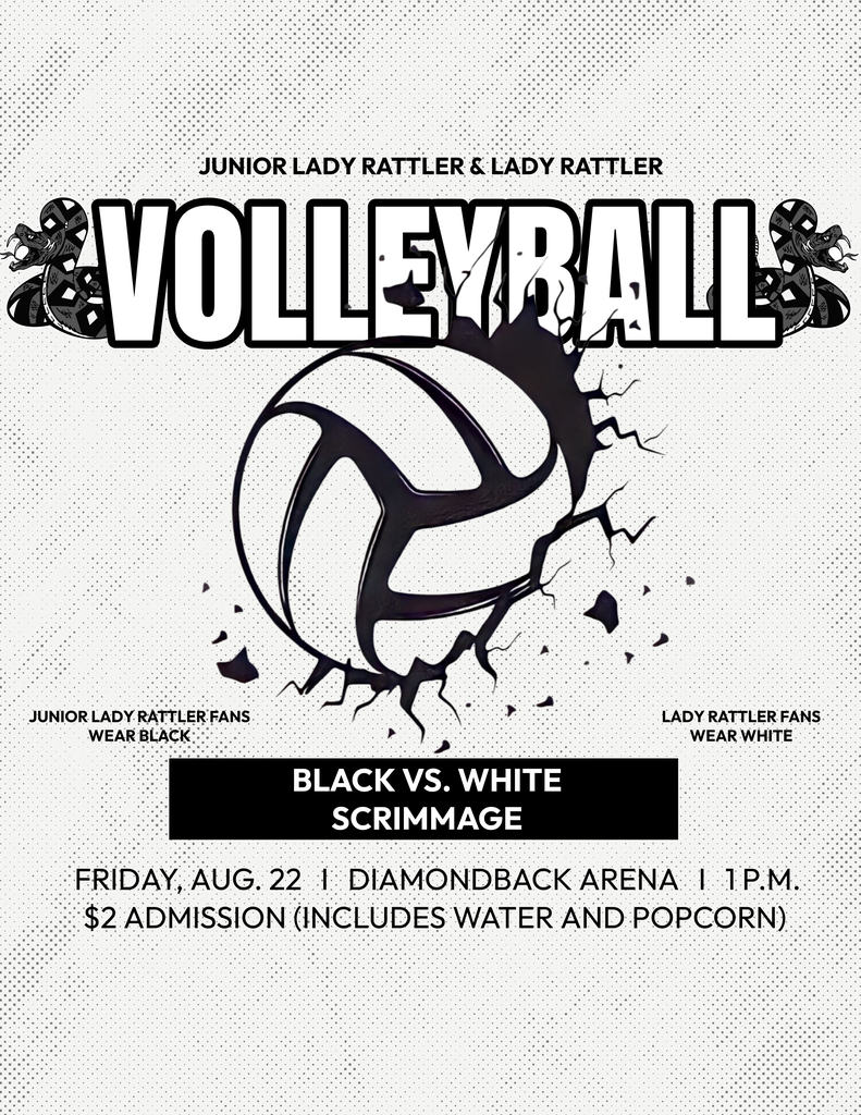 Volleyball Match