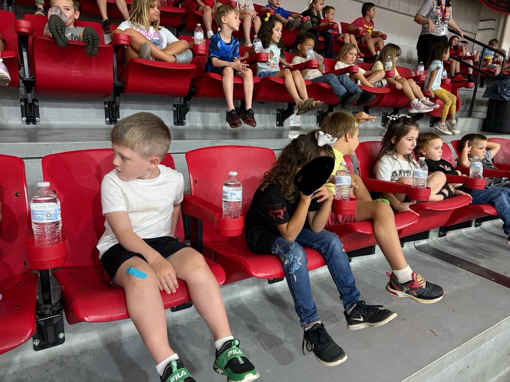 Volleyball spectators