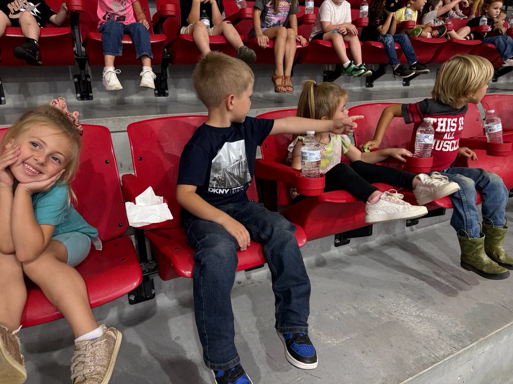 Volleyball spectators