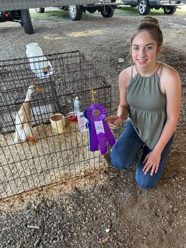 Fair Winners