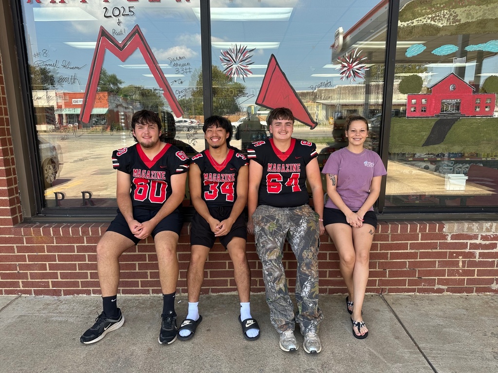 Homecoming Window Decorations