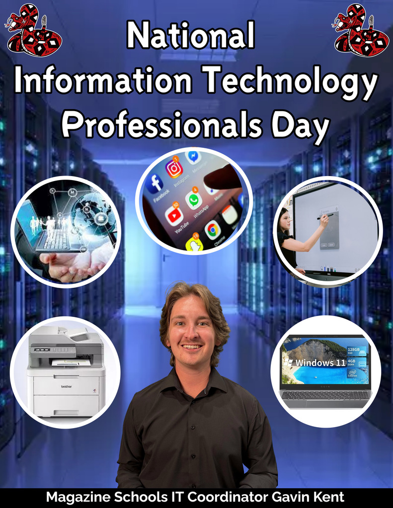 IT Professionals Day