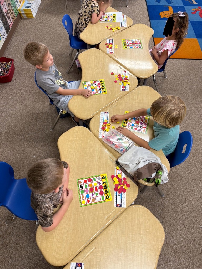 Shapes-Colors Bingo