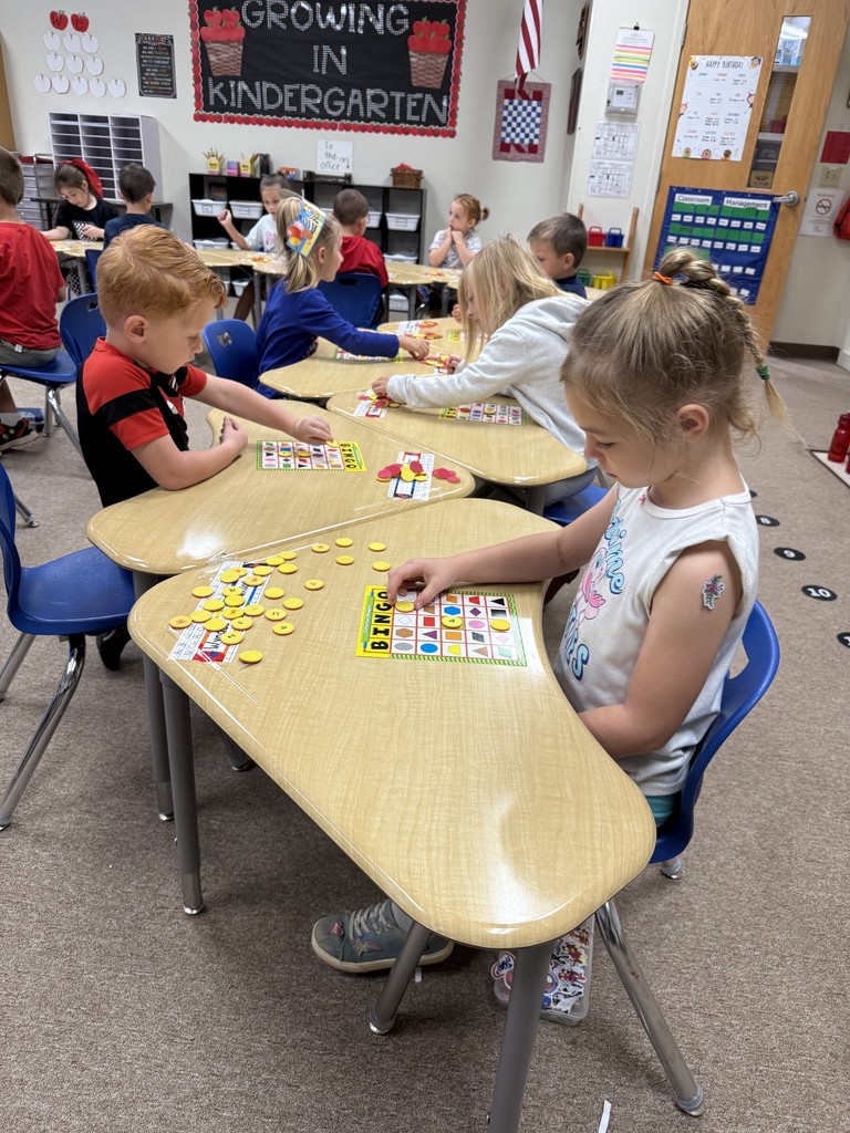 Shapes-Colors Bingo