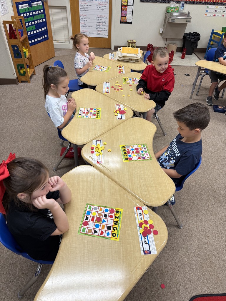 Shapes-Colors Bingo