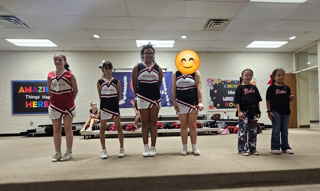 Little League Homecoming Court