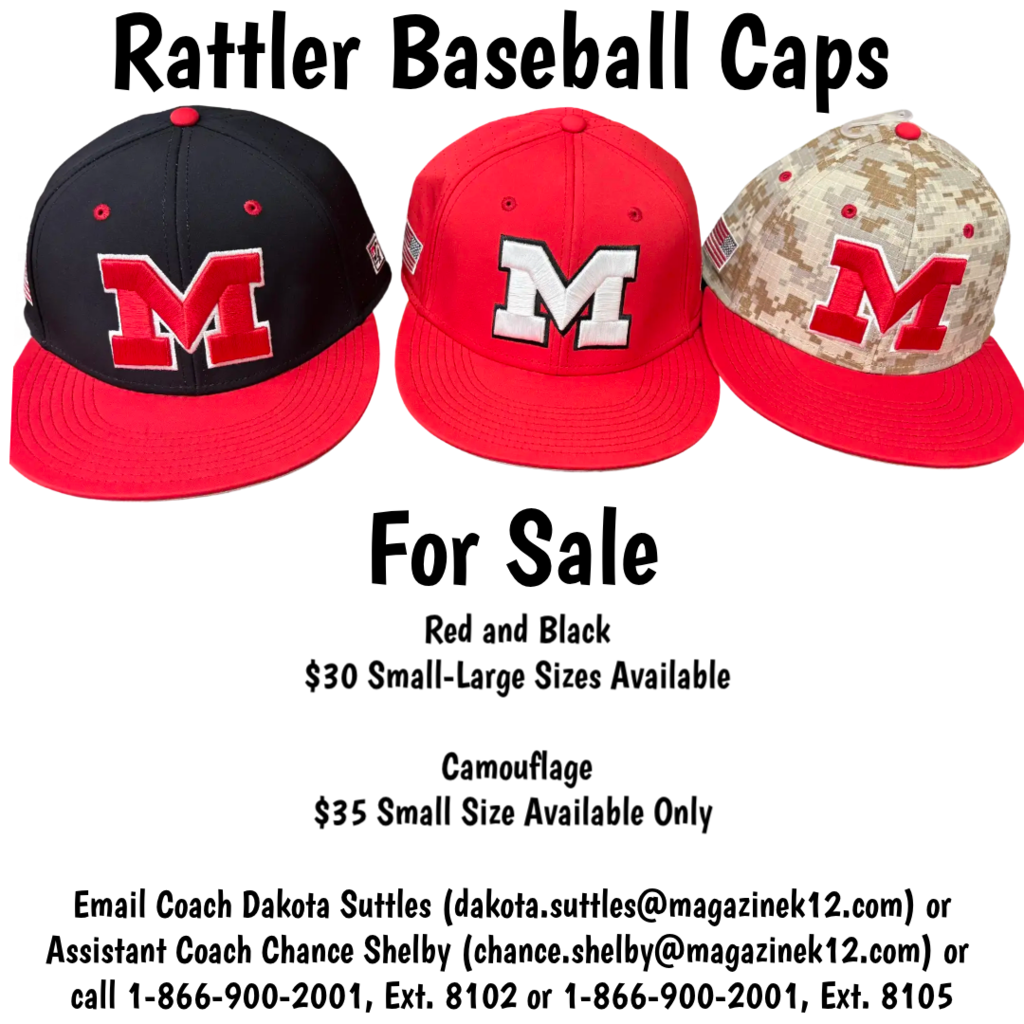 baseball hats for sale