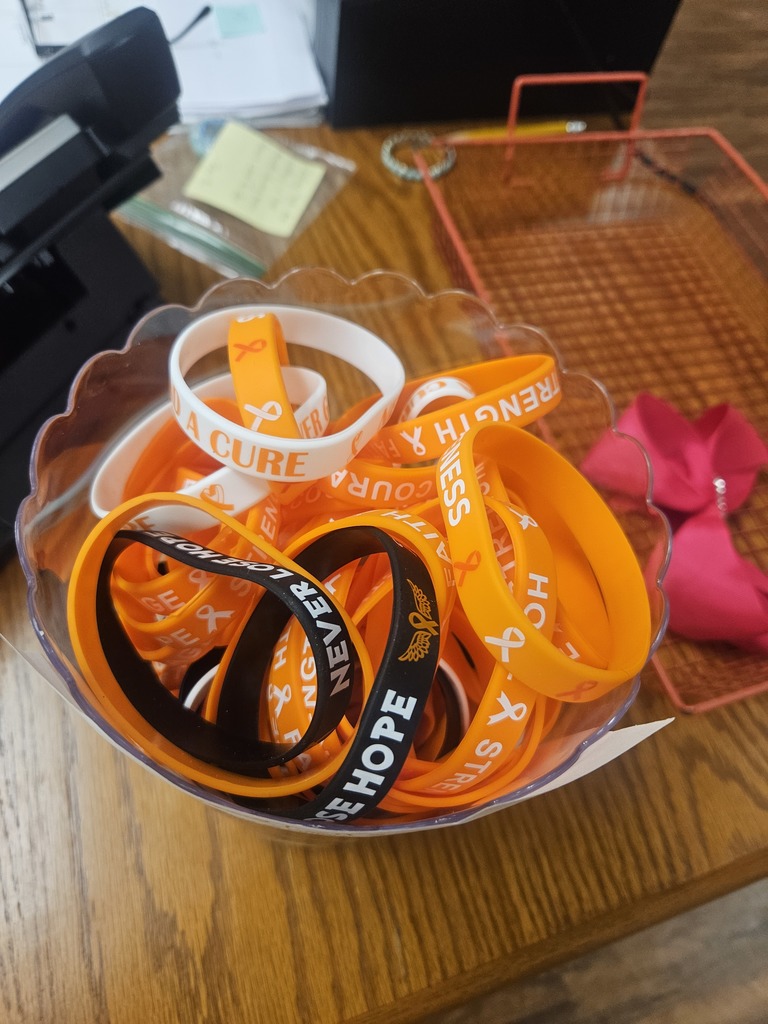 Saylor Peugh Fundraiser