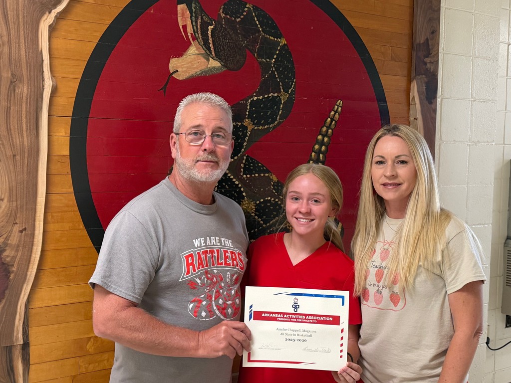 Ainslee Chappell All-State