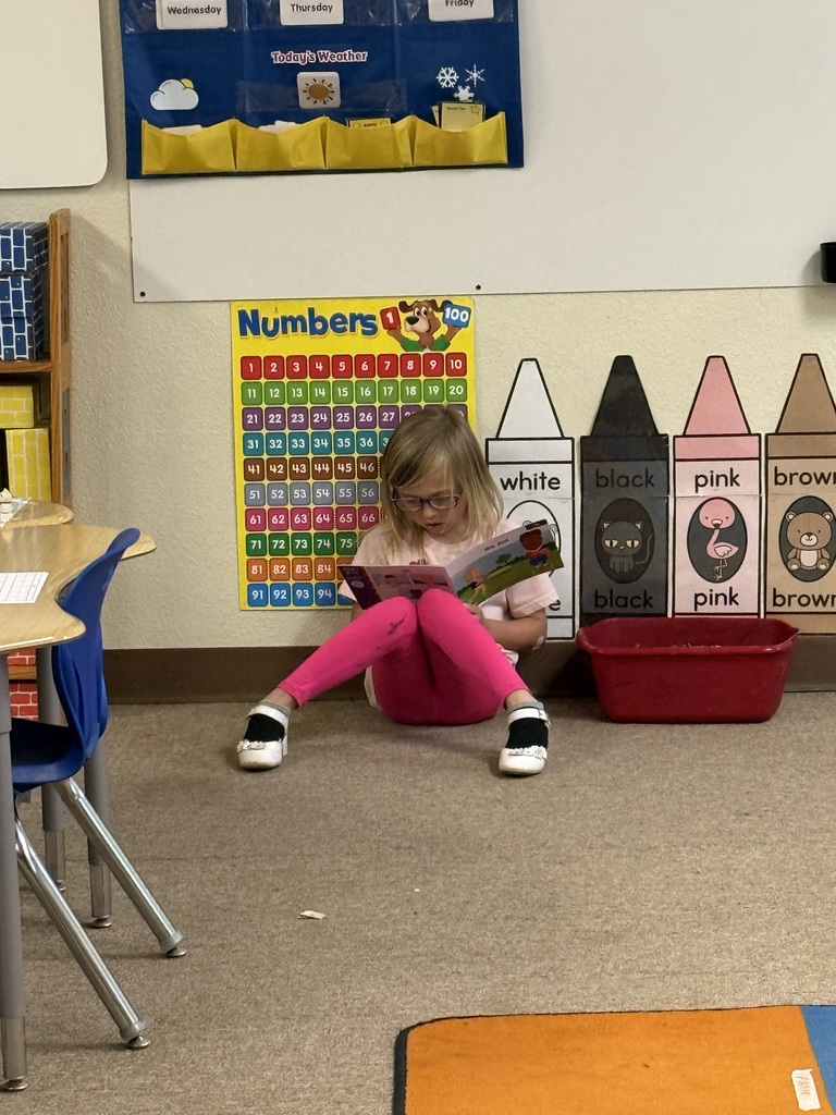 Reading is fun