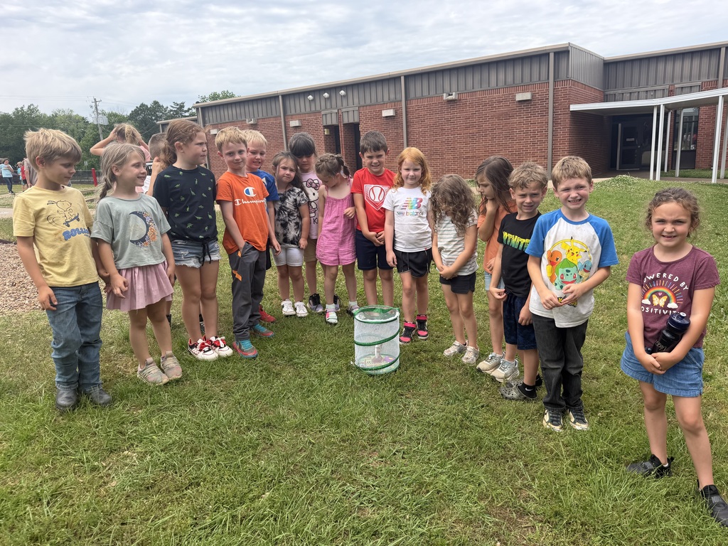 Butterfly release