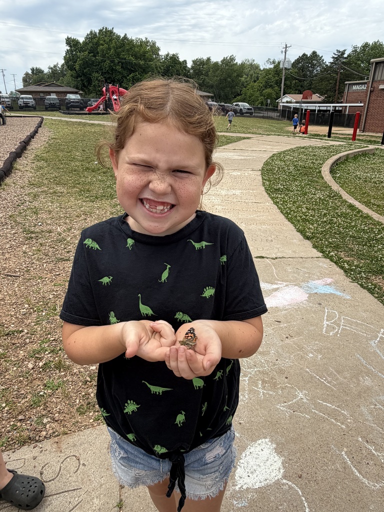 Butterfly release