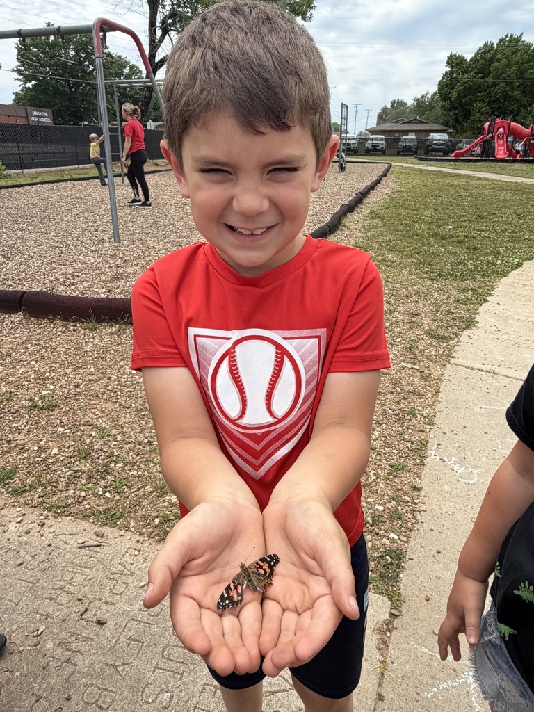 Butterfly release