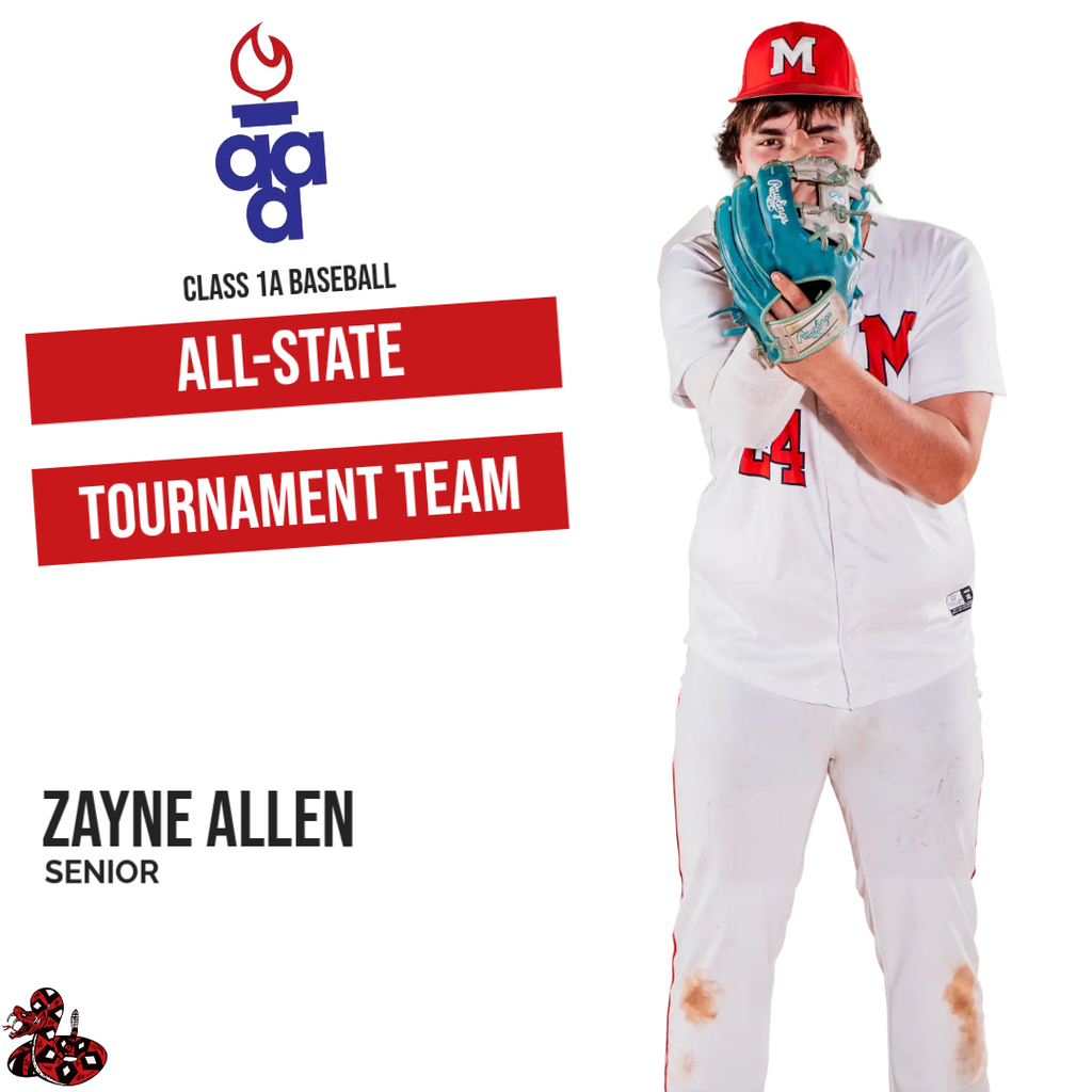 All-State Tournament Team