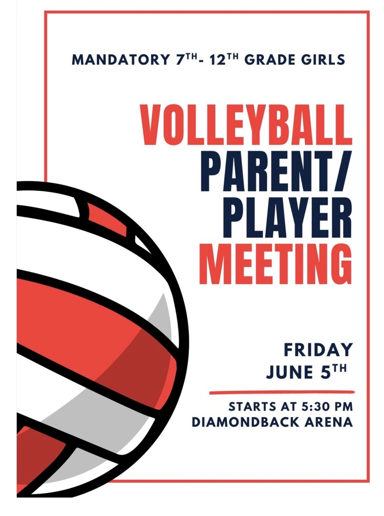 volleyball meeting
