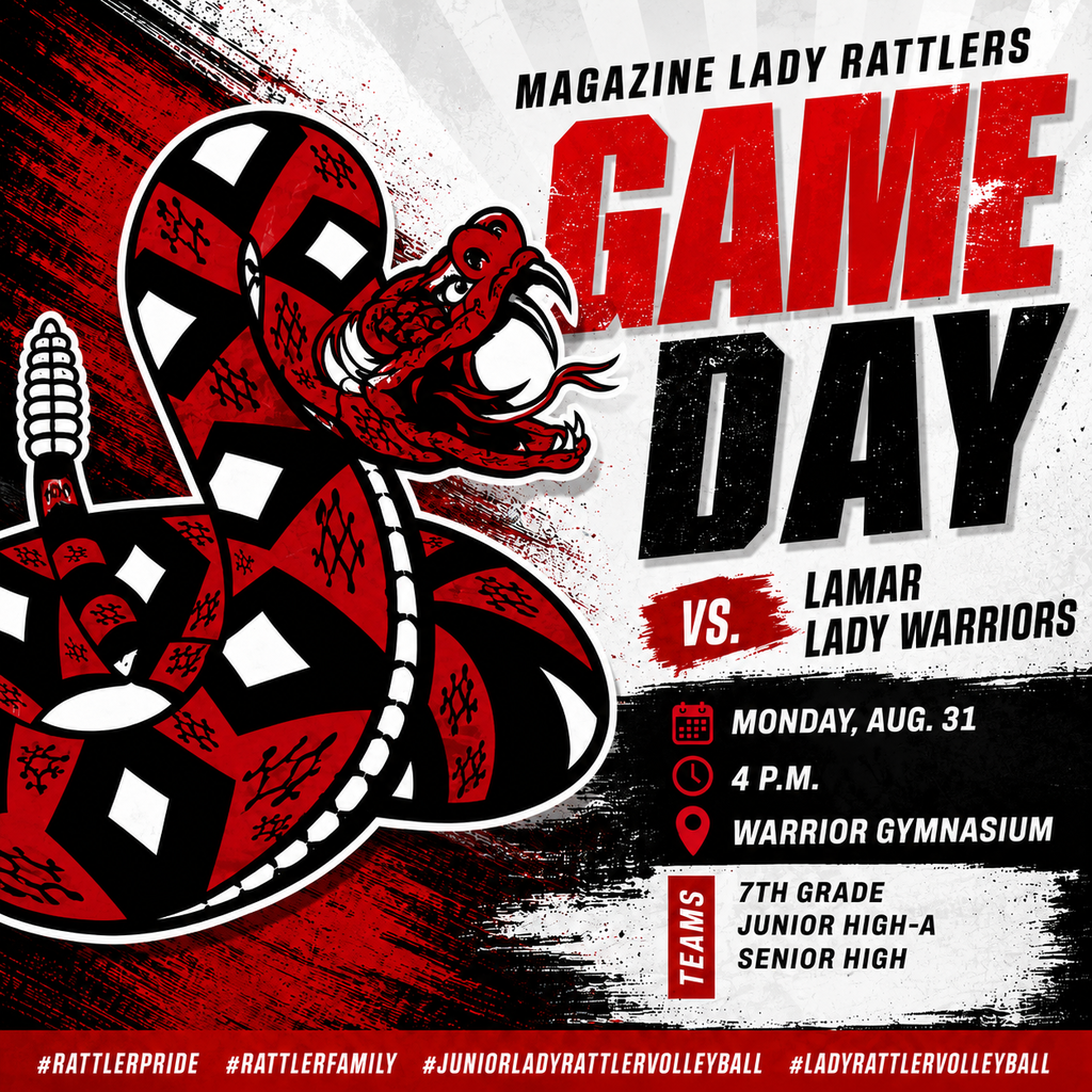 volleyball graphic