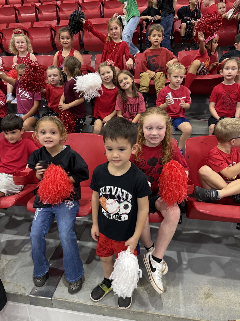 Spirit Stick Winners