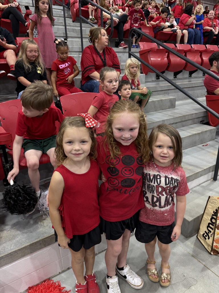 Spirit Stick Winners