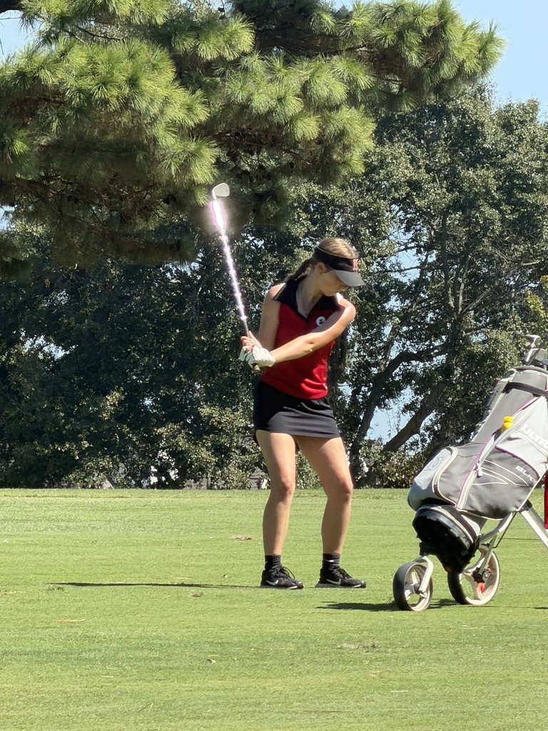 Lady Rattlers at State