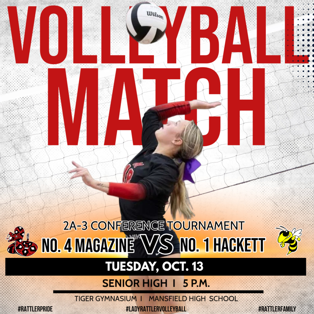 Volleyball Promo