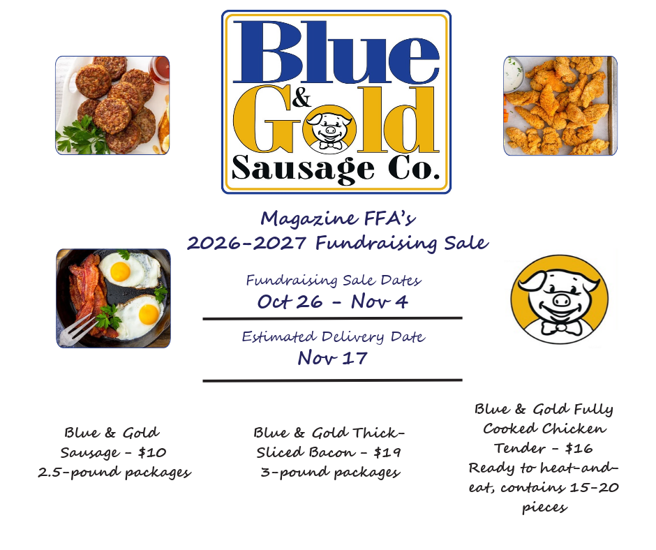 Blue & Gold