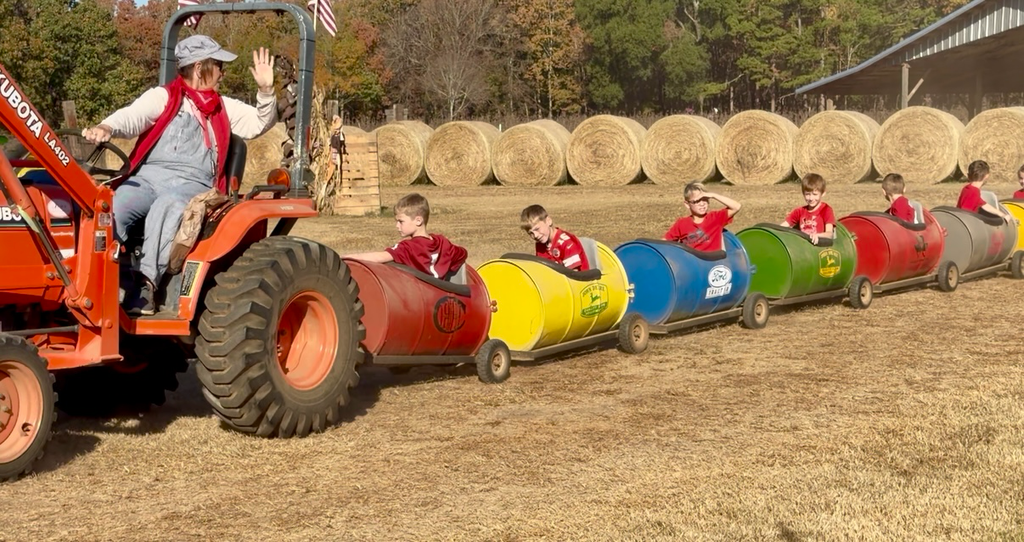 Pumpkin Patch