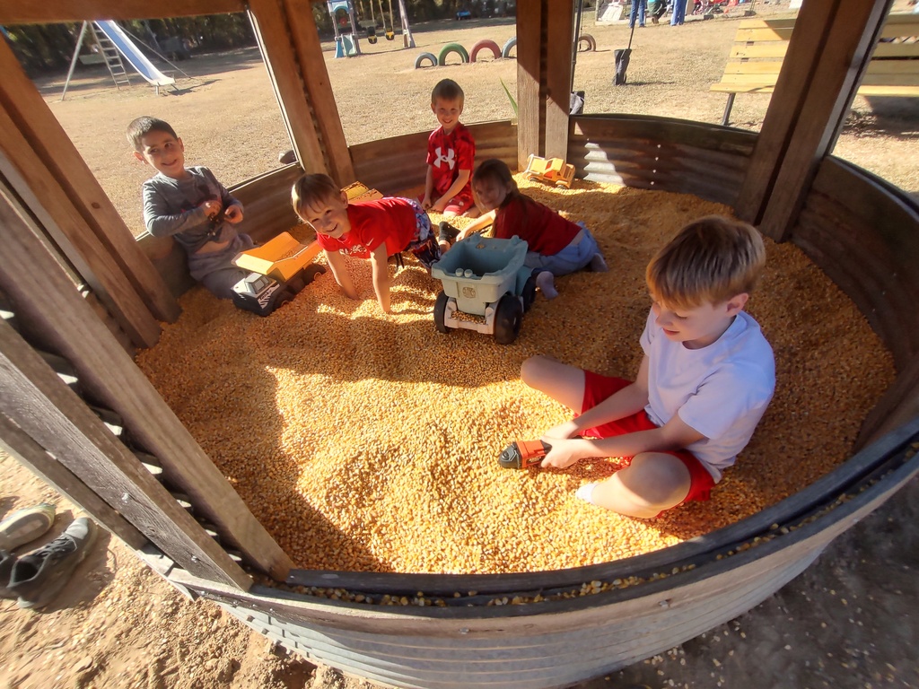 Pumpkin Patch