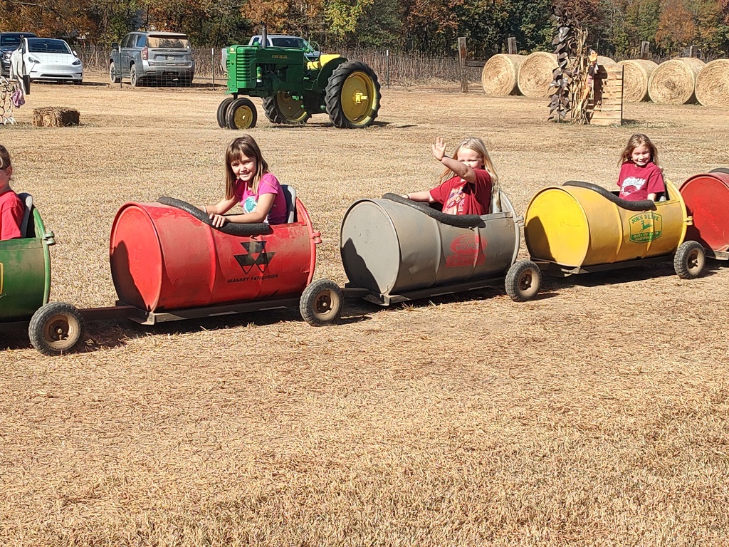 Pumpkin Patch