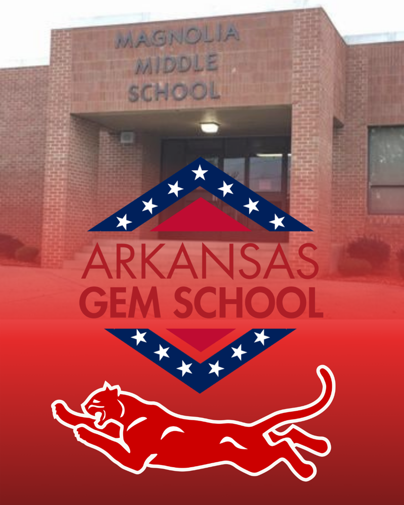 MMS GEM School