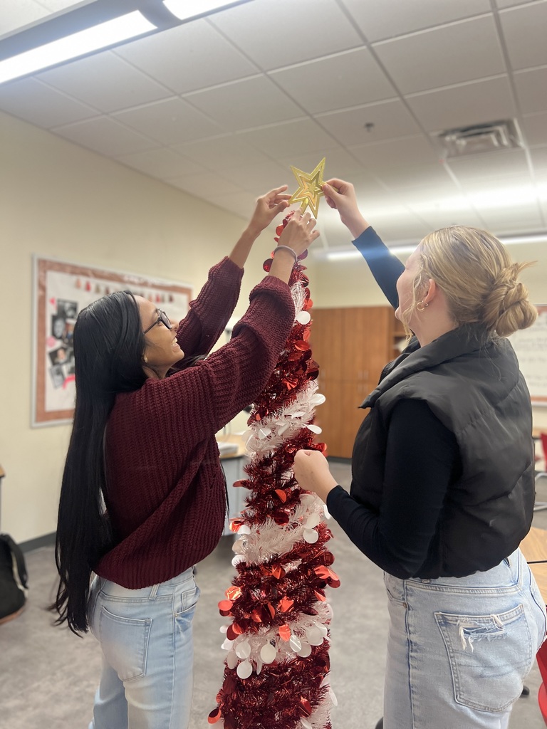 Shanvi and Ally made the class Christmas tree!