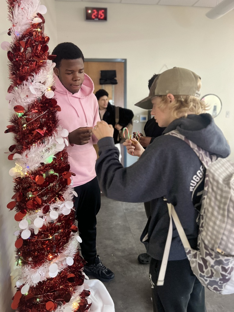 Sixth period boys, Jayden, Chance, and Eli teamed up to decorate the class tree.