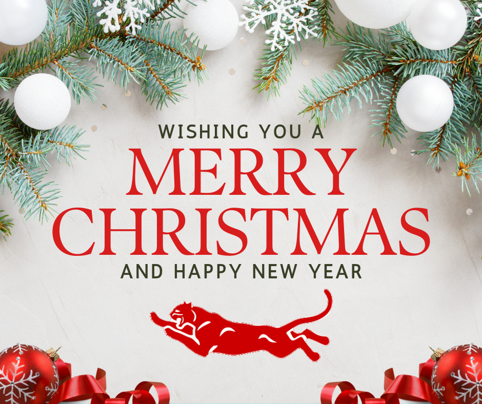 Wishing you a Merry Christmas and a Happy New Year! 