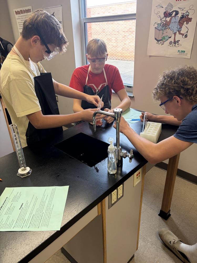 Students extracting DNA from a strawberry