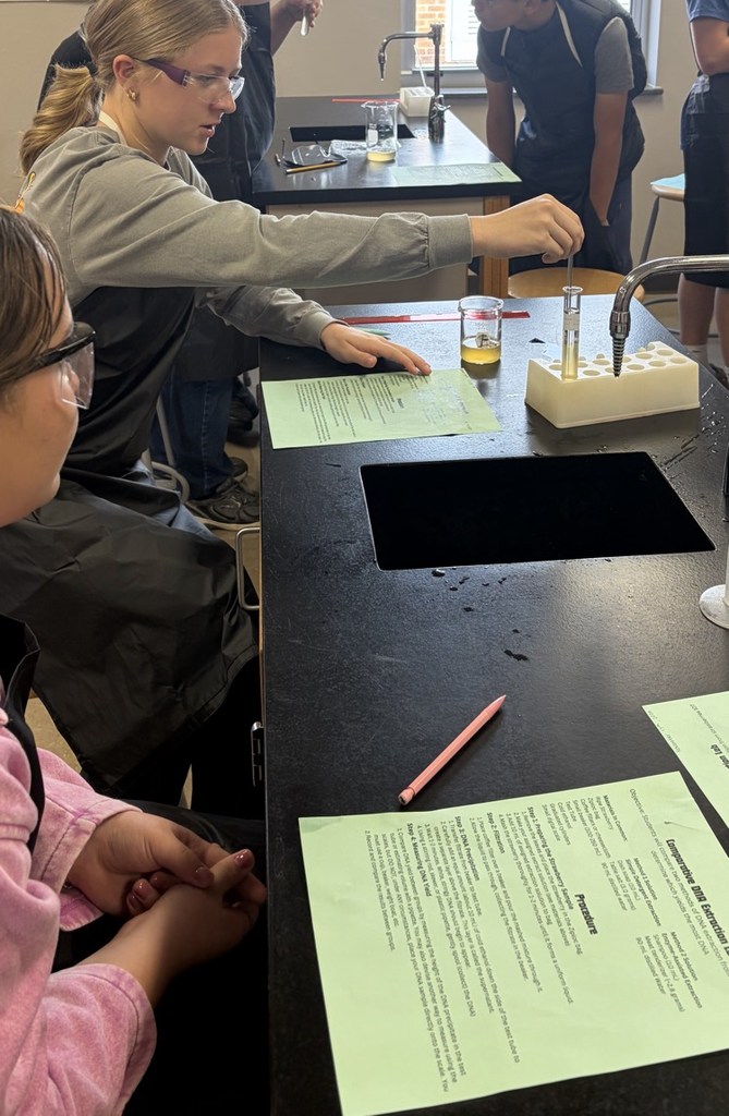 Students looking at resulting DNA from lab