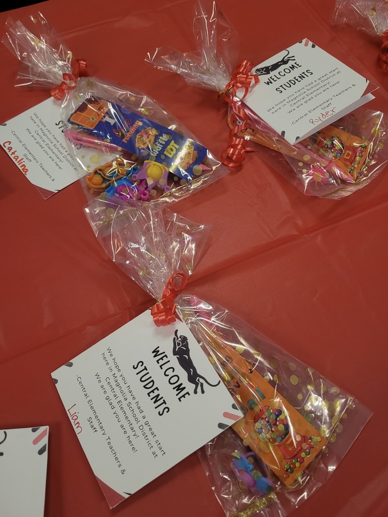 Goodie Bags