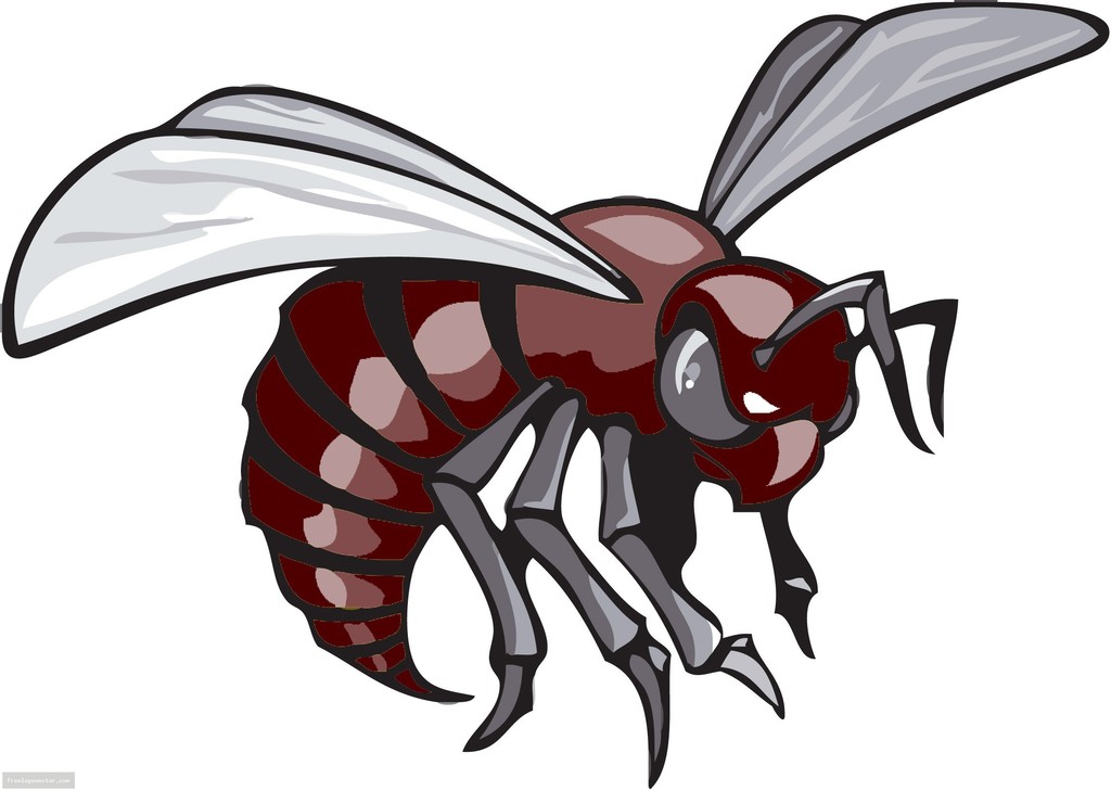 MaroonHornet